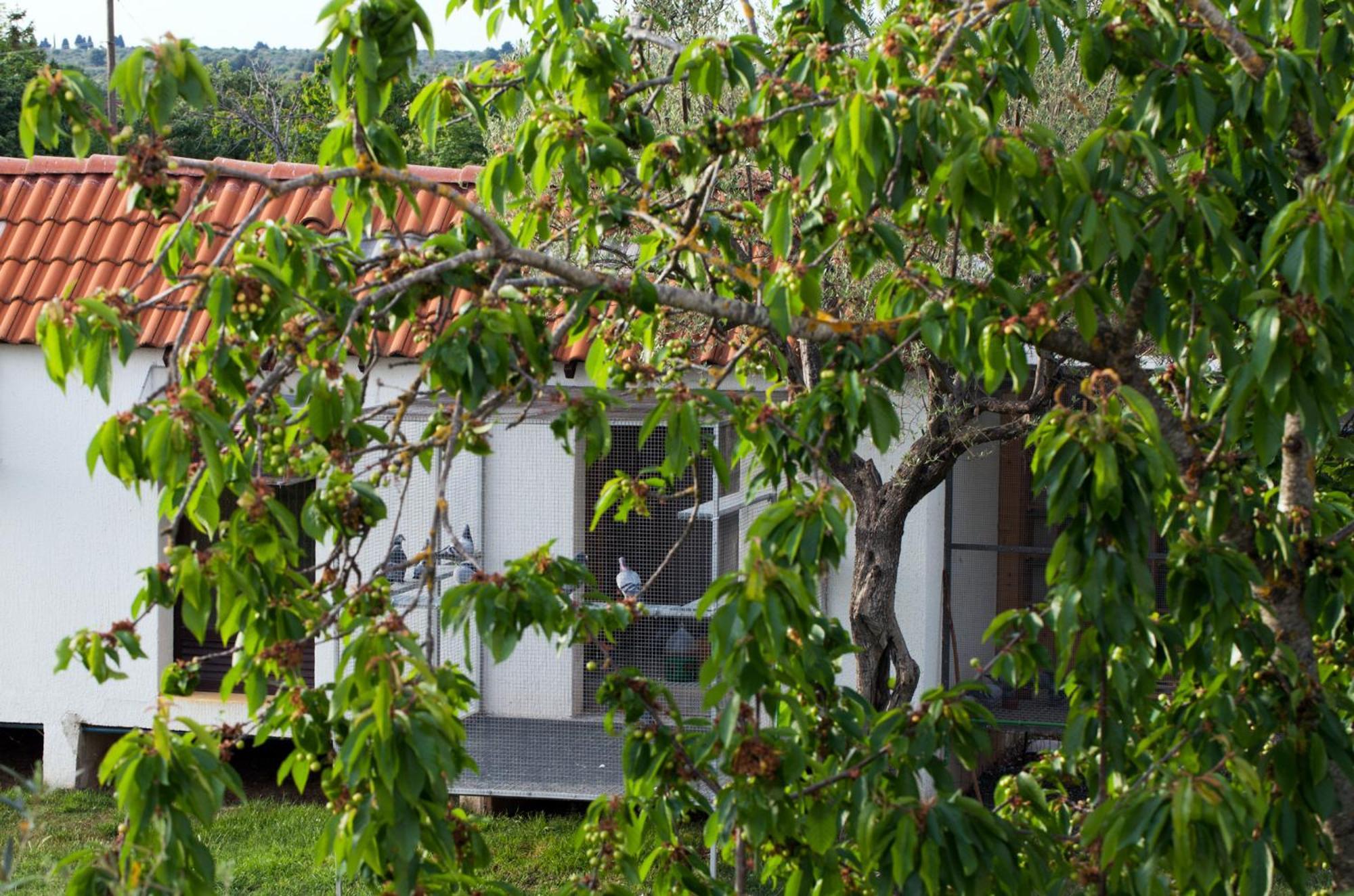 B&B Moderno Fazana Room photo